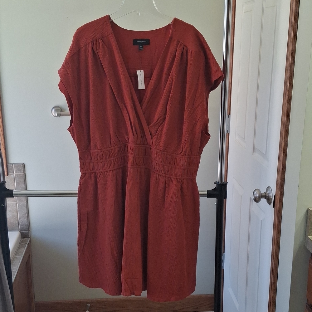 Banana Republic Rust-Red V-Neck Short Sleeve Tunic